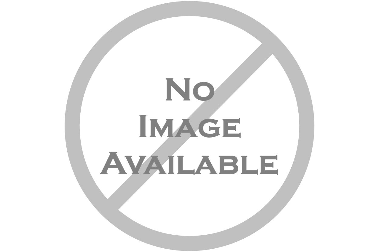 DẠ DÀY ĐÔNG DƯỢC VIỆT Rx